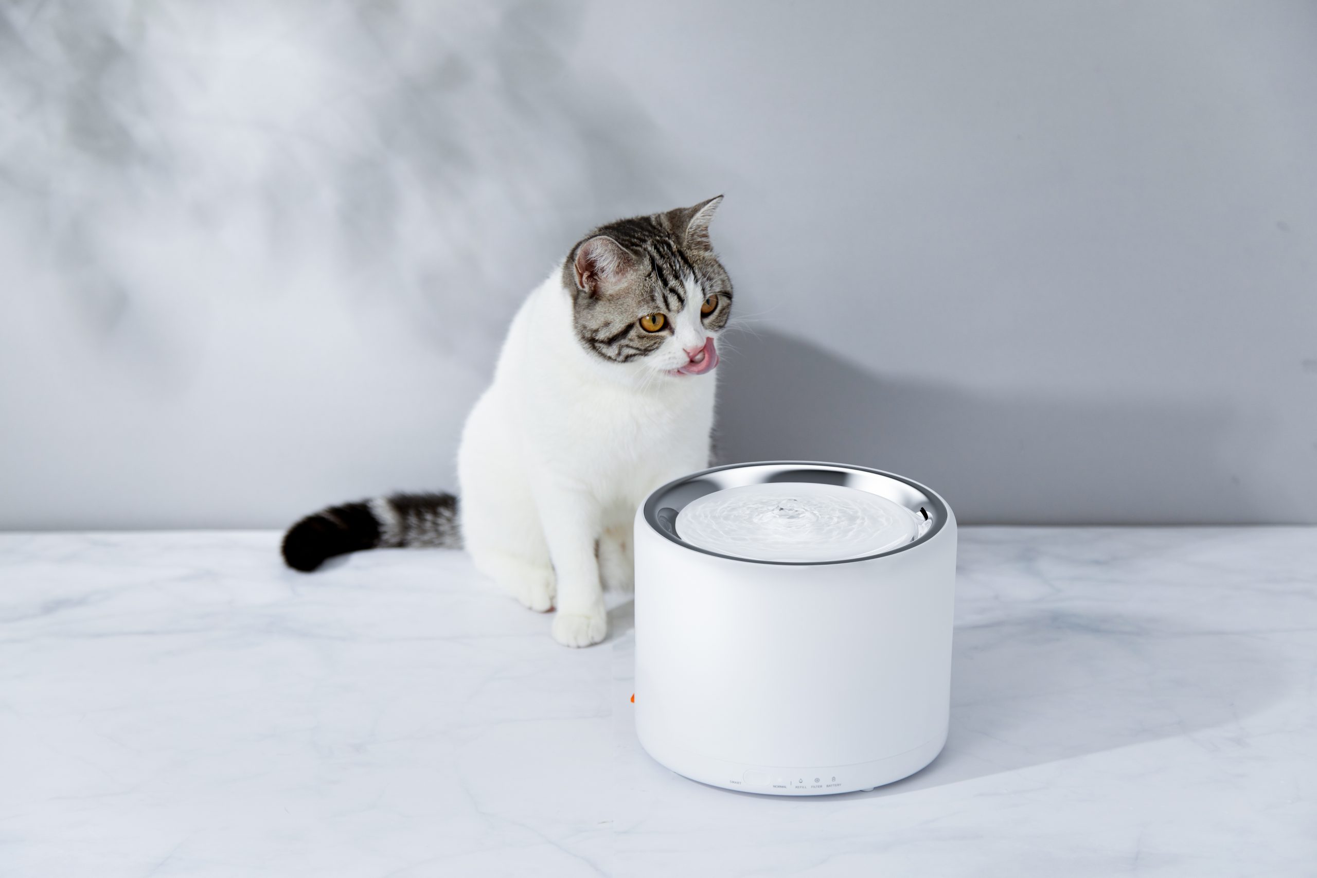 Robocat Care Dienstleistungen