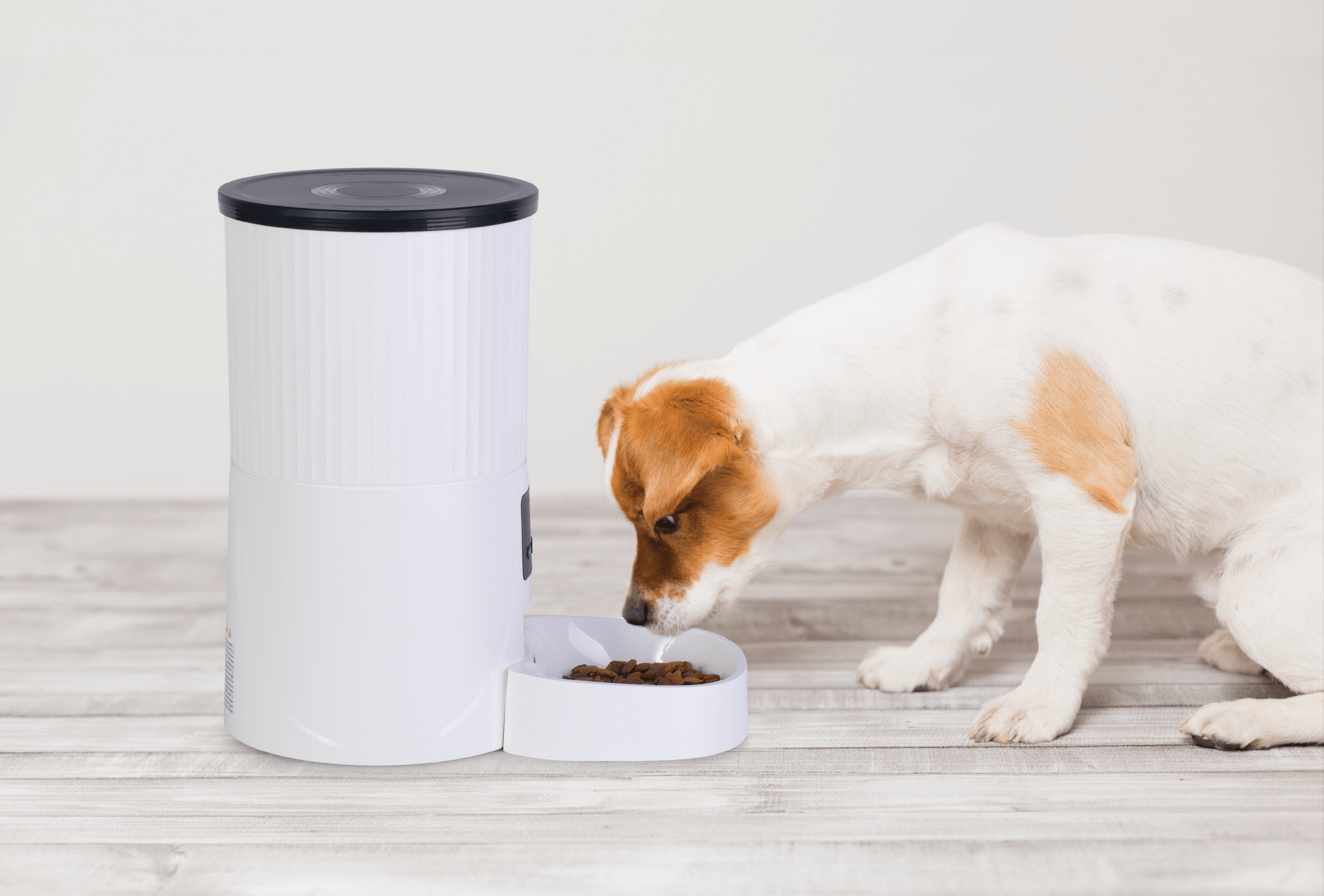 Über Robocat Care