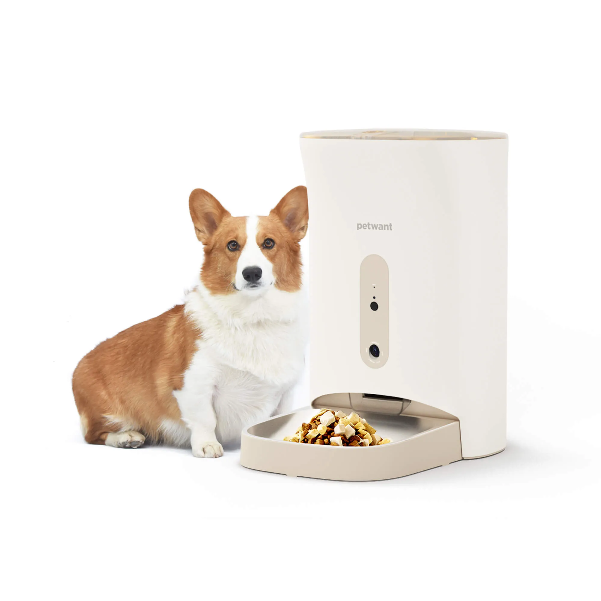 Robocat Care smarte Katzenprodukte