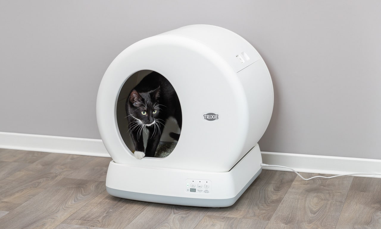 Selbstreinigende Katzentoilette